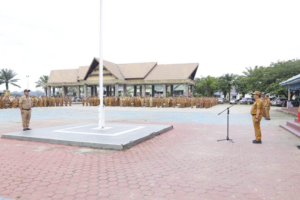 MG_7973-1024x683